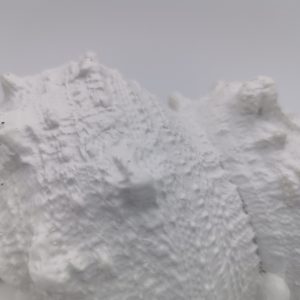 Caracola en Resina Decorativa