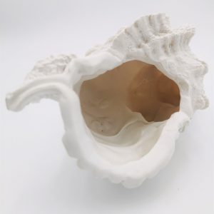 Caracola en Resina Decorativa